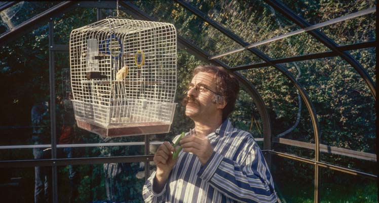 Fridolin le laveur de vitres